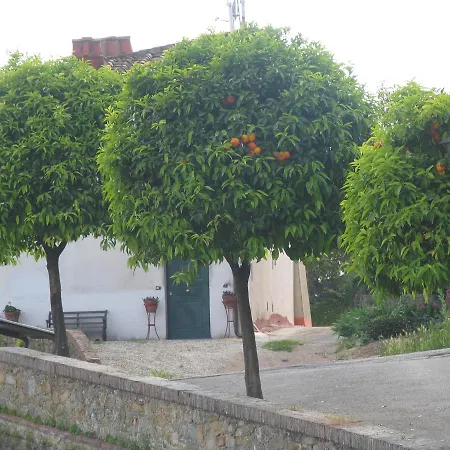 Tarabaralla * Borgo a Buggiano